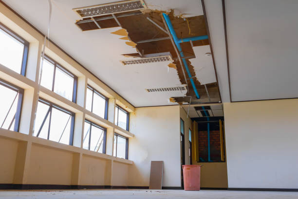  Weed, CA Water damage restoration Pros