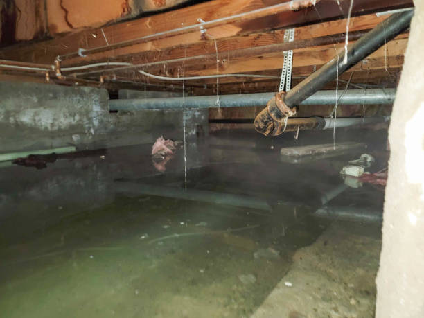Best Emergency water extraction  in Weed, CA