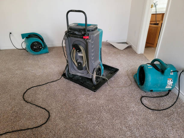 Best Ceiling water damage repair  in Weed, CA