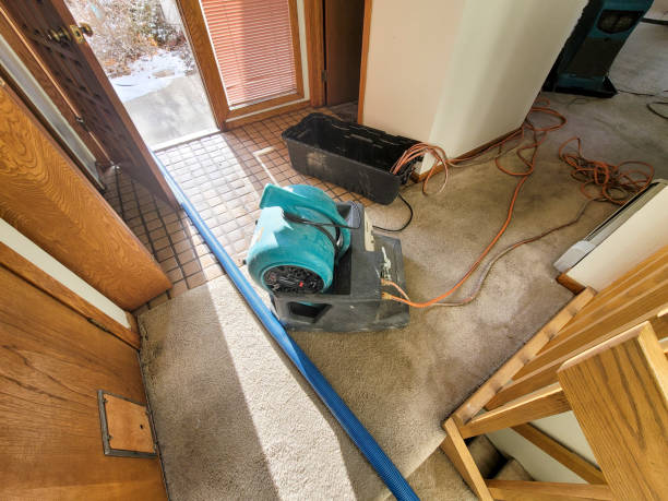 Best Professional water damage repair  in Weed, CA