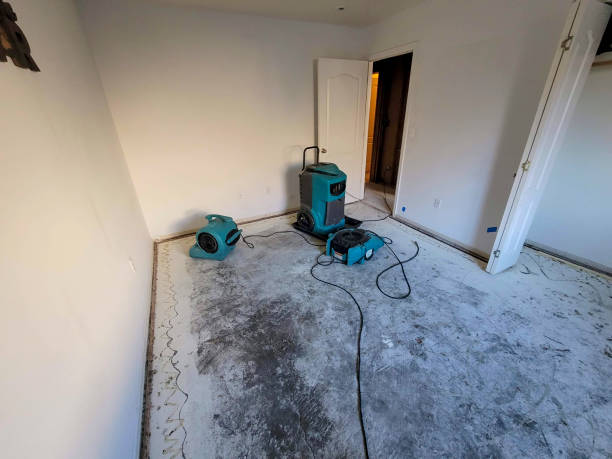 Best Water damage contractors near me  in Weed, CA