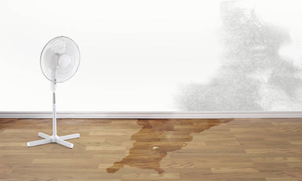 Best Water damage restoration mold remediation  in Weed, CA