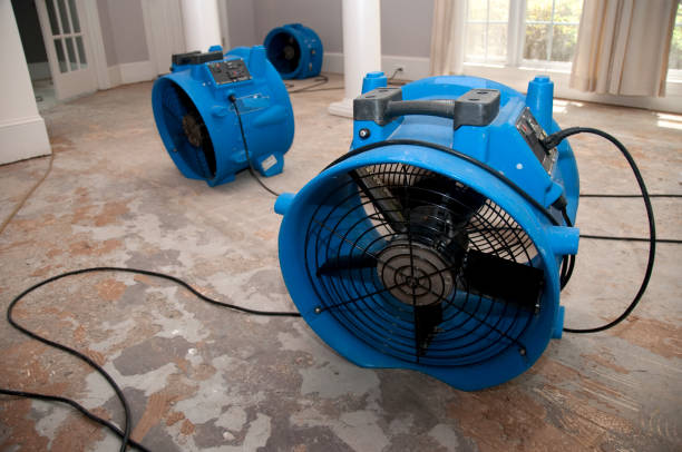 Best Water damage mitigation services  in Weed, CA