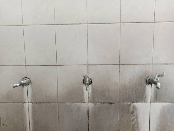 Best Sewage cleanup and water damage restoration  in Weed, CA