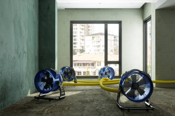 Best Water damage restoration near me  in Weed, CA