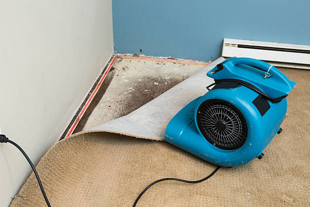 Best Flood damage cleanup  in Weed, CA